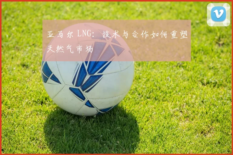 亚马尔 LNG：技术与合作如何重塑天然气市场